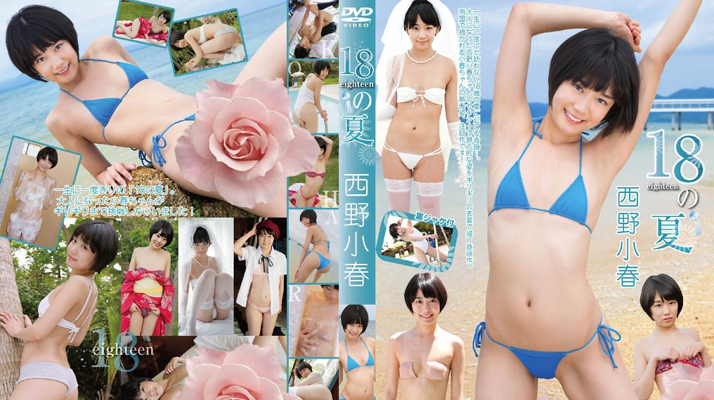 DKOH-003 西野小春